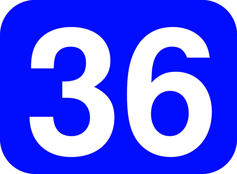 Número 36