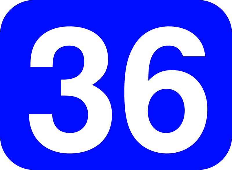  36 Kids nurie
